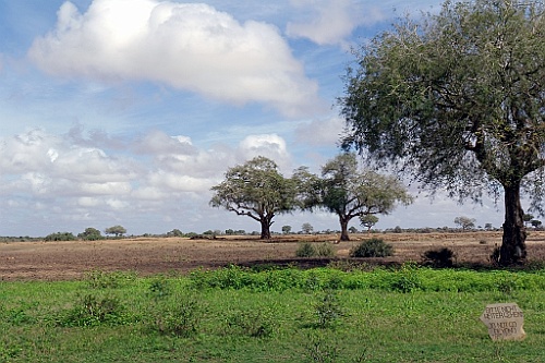 Kenia (447)